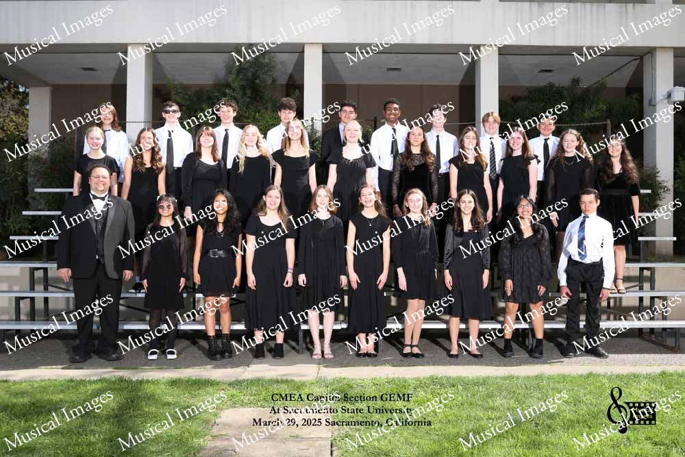Musical Images